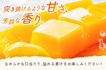 数量限定 宮崎県産 完熟マンゴー<太陽のタマゴ>3L×2玉 計900g以上 ※2026年4月下旬配送開始 化粧箱入 フルーツ くだもの【E168-26】