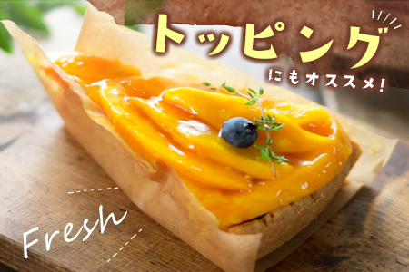 数量限定 宮崎県産 完熟マンゴー<太陽のタマゴ>3L×2玉 計900g以上 ※2026年4月下旬配送開始 化粧箱入 フルーツ くだもの【E168-26】