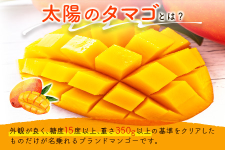 数量限定 宮崎県産 完熟マンゴー<太陽のタマゴ>2L×3玉(計1kg以上)※2026年4月下旬配送開始 化粧箱入 フルーツ くだもの【E167-26】