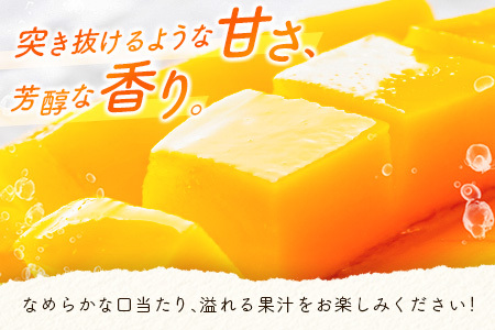 数量限定 宮崎県産 完熟マンゴー<太陽のタマゴ>2L×3玉(計1kg以上)※2026年4月下旬配送開始 化粧箱入 フルーツ くだもの【E167-26】