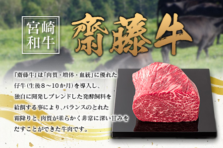 宮崎和牛『齋藤牛』ハンバーグセット 計960g(120g×8個) 牛肉100％使用！【B549】