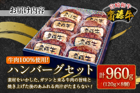 齋藤牛 ハンバーグセット(120g×8個)計960g【B549】