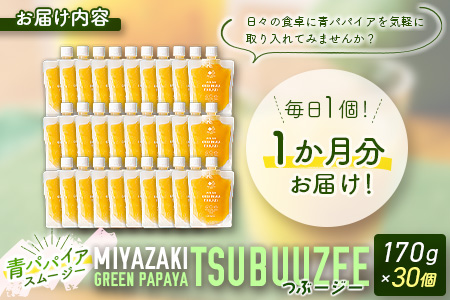青パパイアスムージー 30個入 MIYAZAKI GREEN PAPAYA TSUBUUZEE ~青パパイアの粒々とフレッシュな柑橘の味わい~ 【E171】