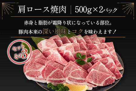宮崎県産豚 3種 食べ比べ 焼肉 セット(500g×6パック)計3kg 国産 肉 豚肉 ご飯 おかず BBQ 焼き肉【C370-2510-90】