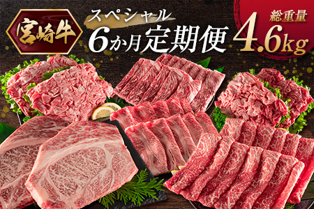 《お楽しみ 6種》［宮崎牛］スペシャル 6か月定期便 総重量4.6kg 【F107】