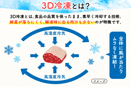 ＜3D冷凍＞宮崎牛食べ比べスライスセット(100g×6種類) 4等級 A4ランク 牛肉 ブランド すき焼き しゃぶしゃぶ ※90日以内に発送【C350-24】