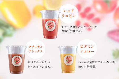 「南国酵素スムージー12本セット」200ml×12本セット　野菜・果実ミックスジュース　青パパイア　果物　フルーツ　飲料　健康　栄養【C379】