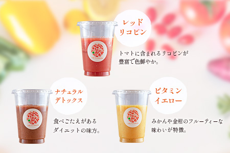 「定期便3か月コース」南国酵素スムージー　200ml×6本セット×3回　 野菜・果実ミックスジュース　青パパイア　果物　フルーツ　飲料　健康　栄養【D123】