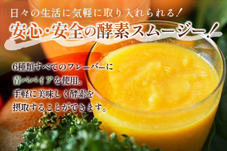 「定期便3か月コース」南国酵素スムージー　200ml×12本セット×3回　 野菜・果実ミックスジュース　青パパイア　果物　フルーツ　飲料　健康　栄養【E179】