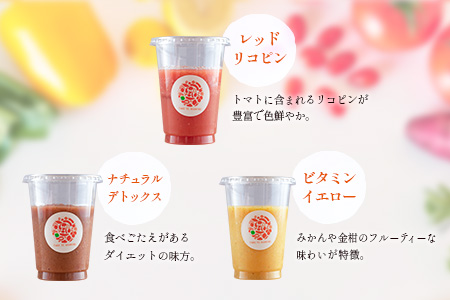 「定期便3か月コース」南国酵素スムージー　200ml×12本セット×3回　 野菜・果実ミックスジュース　青パパイア　果物　フルーツ　飲料　健康　栄養【E179】