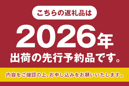 先行予約 人気の種なしぶどう！シャインマスカット 2房 計1kg以上 宮崎県産 2026年出荷【A256-26】