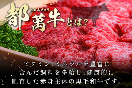 赤身主体の黒毛和牛<都萬牛>焼肉セット 300g【B575】