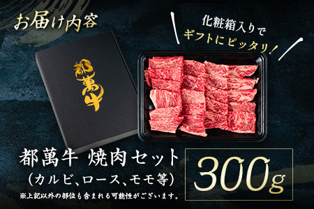 赤身主体の黒毛和牛<都萬牛>焼肉セット 300g【B575】