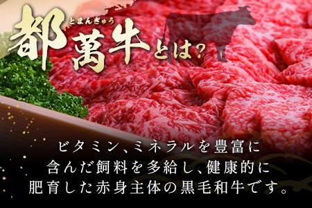 黒毛和牛<都萬牛>ロースすきしゃぶ 300g すきやき しゃぶしゃぶ【B576-2603】
