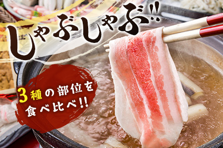 宮崎県産 豚しゃぶしゃぶ三種盛り食べ比べセット 合計2.2kg【B584】