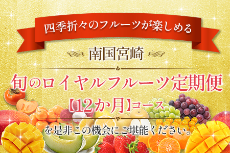 旬のロイヤルフルーツ定期便 12ヵ月コース【G28-25】