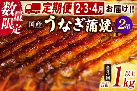 【2025年1月31日受付終了】＜数量限定＞うなぎ 定期便 国産 鰻 蒲焼 2尾セット定期便 （2025年2月,3月,4月お届け）全3回 合計1kg以上 魚介 贈答品 ギフト ウナギ 期間限定 鰻楽【E194-25】