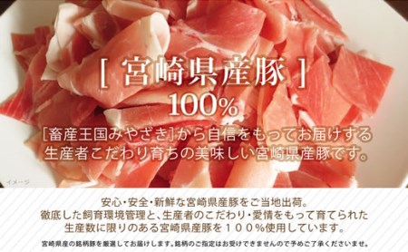 宮崎県産豚 普段使いセット 合計3kg【B235-60】