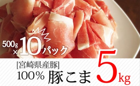 宮崎県産 豚こま肉 合計5kg(500g×10パック)【B236】