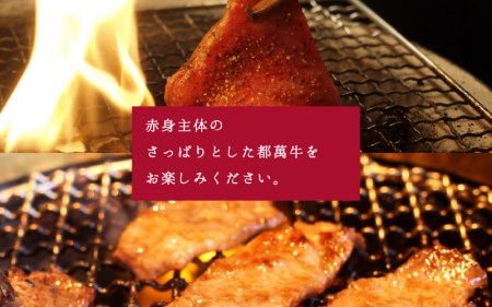 赤身主体の黒毛和牛 都萬牛 焼肉セット500g B107 宮崎県新富町 ふるさと納税サイト ふるなび