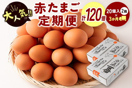 ＜児湯養鶏自慢の卵＞計120個 （40個×3回） 3ヶ月定期便【C55】