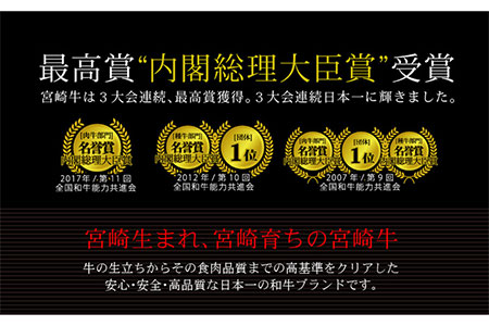 ＜宮崎牛＞サーロインステーキ 400g（200g×2枚）※90日以内出荷【C87】