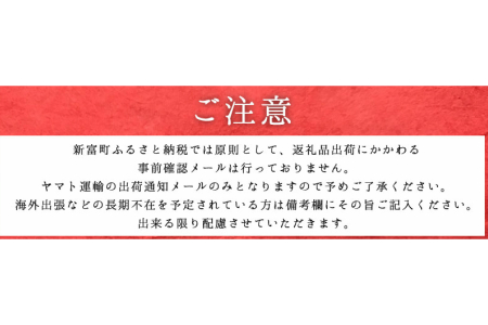 ＜宮崎牛＞サーロインステーキ 400g（200g×2枚）※90日以内出荷【C87】