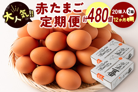 ＜児湯養鶏自慢の卵＞計480個（40個×12回） 12ヶ月定期便【E19】 