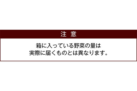 野菜ソムリエが選ぶ 旬のこゆ野菜セット 12ヵ月コース 定期便 5 8種類 送料無料 盛り合わせ 国産 D17 宮崎県新富町 ふるさと納税サイト ふるなび