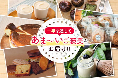 ［偶数月配送］新富スイーツ定期便【F121】