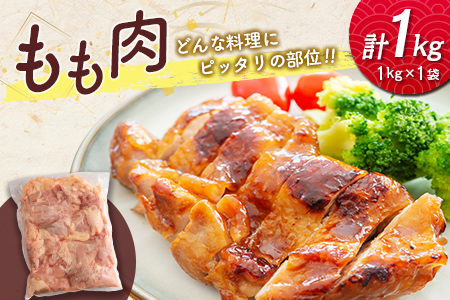 宮崎県産鶏肉 スペシャル鶏三昧セット 合計5kg【B607】