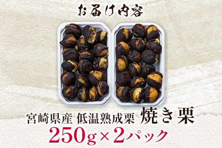 ＜2026出荷!!＞宮崎県産 低温熟成栗［焼き栗］計500g（250g×2パック）おやつ 秋の味覚 お取り寄せ【B617-26】