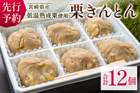＜2026出荷!!＞宮崎県産 低温熟成栗100%［栗きんとん］計12個 おやつ 甘い お取り寄せ【B619-26】