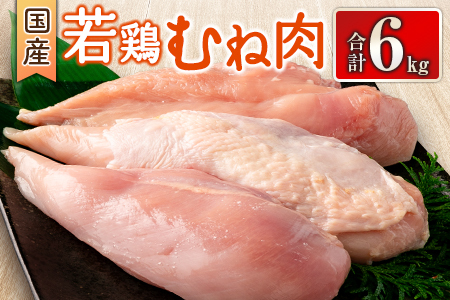 国産若鶏むね肉 合計6kg 鶏肉 九州産【B626】