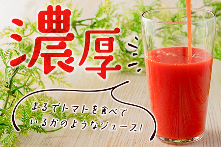 濃厚GOKUGOKU TOMATO（300ml×6本）無塩 トマトジュース【B631】