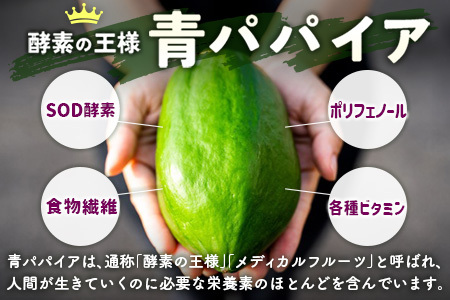 丸ごと贅沢！青パパイアパウダー（50g×3袋）［皮ごと粉末タイプ］【B629】