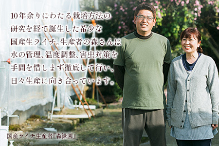 ライチゼリー 8個 フルーツゼリー ギフト 特産品 お取り寄せ 宮崎県 新富町【B453-30】