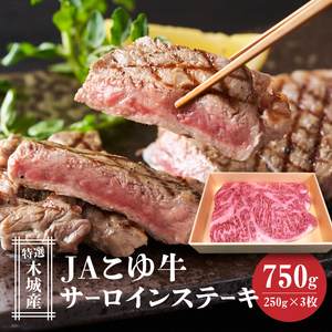 JAこゆ牛 特選木城産 サーロインステーキ 750g_K56_0001