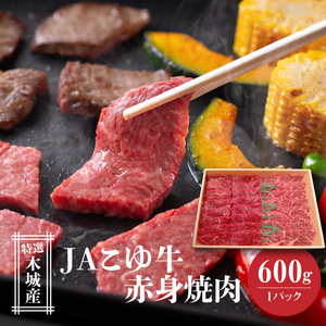 JAこゆ牛 特選木城産 赤身(もも・ウデ)600g 焼肉用_K56_0007