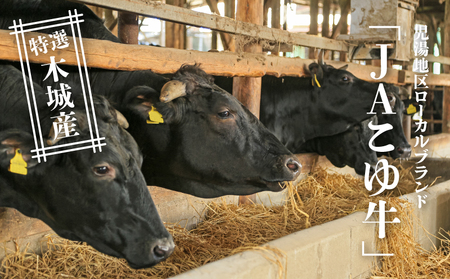 JAこゆ牛 特選木城産 赤身(もも・ウデ)600gすき焼き用_K56_0008