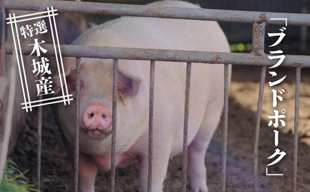 特選木城産 豚こま切れ250g×6_K56_0015