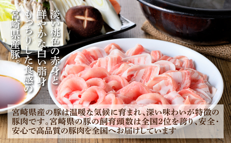 豚肉 詰め合わせ3.2㎏ K18_0040_5