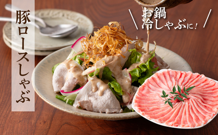 豚肉 詰め合わせ3.2㎏ K18_0040_5