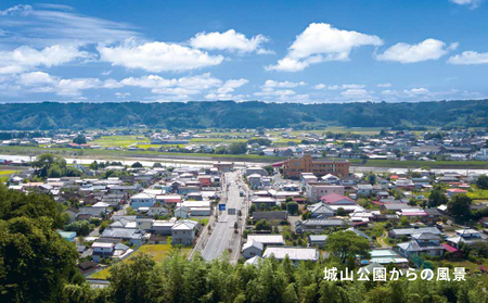 高城合戦1冊<みやざき文庫>K00_0003_1