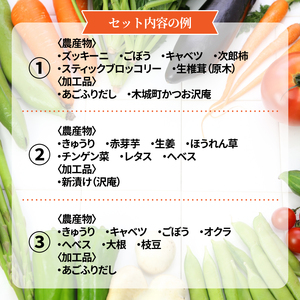 木城町産農産物と加工品セット K04_0001_2