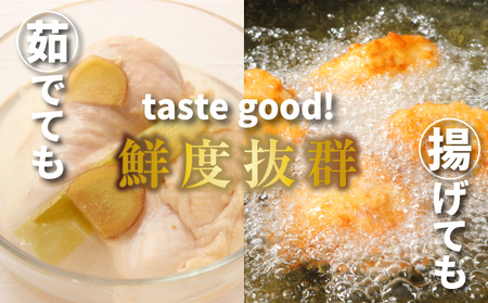 宮崎県産若鶏ササミ 小分け 6㎏ K16_0124