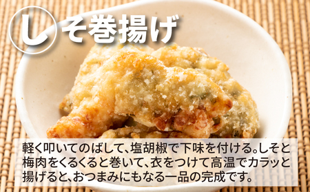 宮崎県産若鶏ササミ 小分け 6㎏ K16_0124