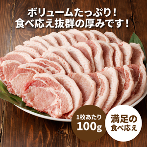 贅沢宮崎県産豚肉ロース100gカット20枚　 K16_0150