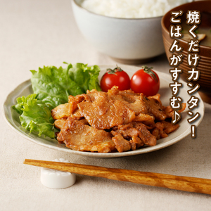 簡単調理　宮崎県産豚肉のみそ豚 1㎏×3　K16_0152