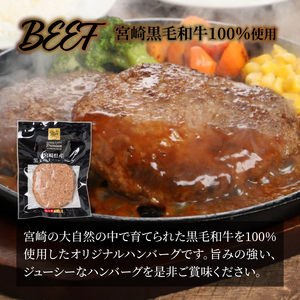 宮崎県産黒毛和牛100%ハンバーグ個包装(10個/冷凍)・ 宮崎県産ポークハンバーグ個包装(10個/冷凍) K16_0157
